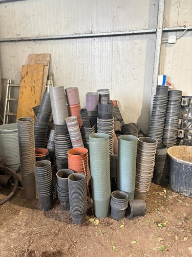 Vasi usati in plastica - 30,