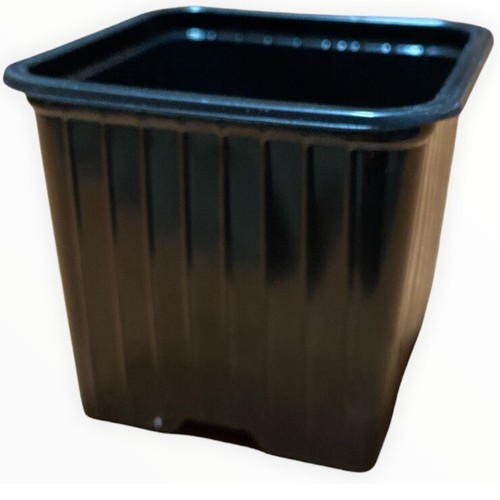 Vasi plastica neri quadrati - vasi,