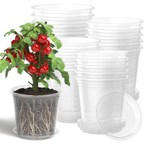 Vaso per piante trasparente - piante,