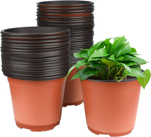 100 vasi plastica per - 100,