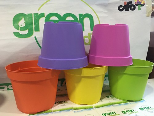 Vaso colorato plastica arca - vaso,